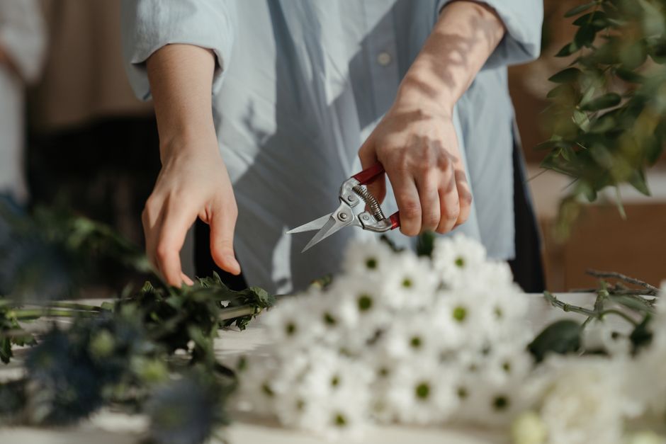 The Cut-and-Come-Again Garden: Flowers That Keep on Giving